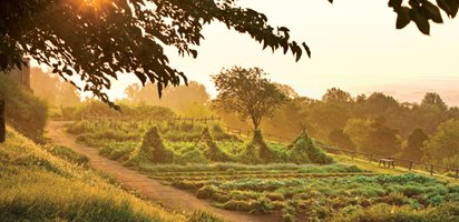 Thomas Jefferson's Monticello, Photo Gallery
Monticello
Charlottesville, VA