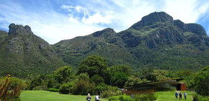 Visiting South Africa's Kirstenbosch
Garden Design
Calimesa, CA