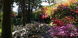 Bishop's Garden And Monastery Garden
Garden Design
Calimesa, CA