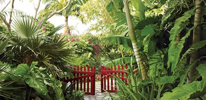 Helen and Brice Marden's Caribbean Hotel, Slide Show
Garden Design
Calimesa, CA