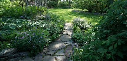 Shade Garden, Garden Path
Growing Green in Pennsylvania
Rick Darke LLC
Landenberg, PA