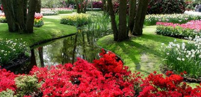 Heather Lenkin's Tour of the Netherlands and France
Garden Design
Calimesa, CA