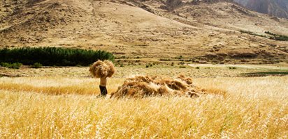 Kurdistan: Recovering a Garden of Paradise, Photo Gallery
Garden Design
Calimesa, CA