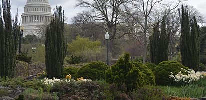 Bartholdi Park With The Capitol Building In The Background
Garden Design
Calimesa, CA
