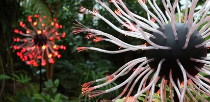 Fiber Optic Flower
Atlanta Botanical Garden
Atlanta, GA