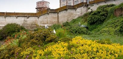 Restored Gardens Of Alcatraz
Garden Design
Calimesa, CA