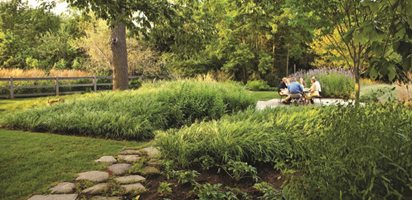 Landscape Design Landscaping Ideas For Front Backyards Garden Design