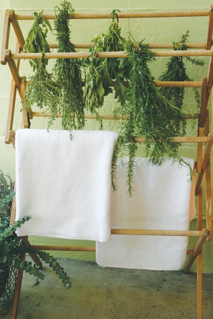 Drying Herbs, Hanging Herbs
"Dream Team's" Portland Garden
St. Lynn's Press
Pittsburgh, PA