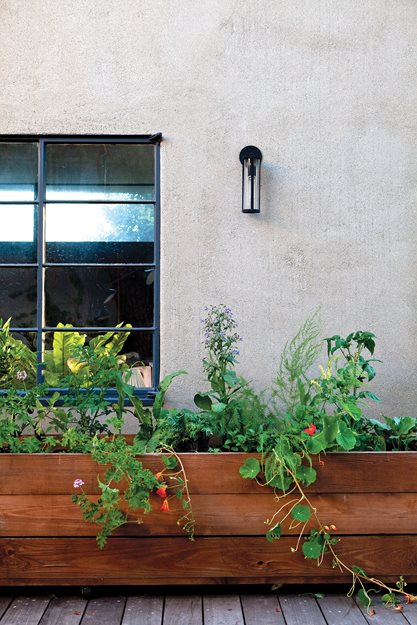 "Dream Team's" Portland Garden
Garden Design
Calimesa, CA