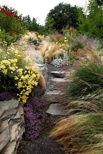 "Dream Team's" Portland Garden
Garden Diva Designs
Hillsboro, OR