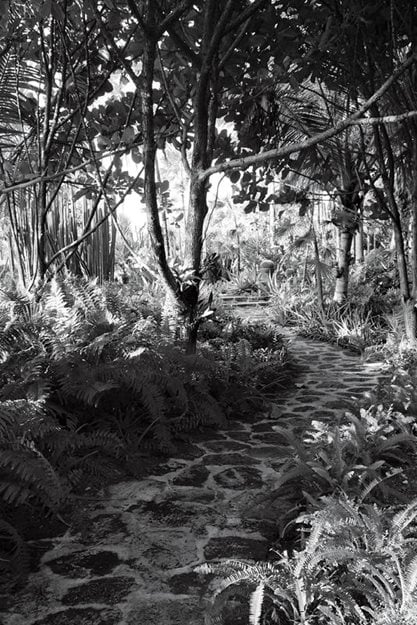 Garden In Punta Canal
"Dream Team's" Portland Garden
Garden Design
Calimesa, CA