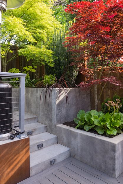 Japanese Maple, Elevated Planter Beds
"Dream Team's" Portland Garden
Garden Design
Calimesa, CA