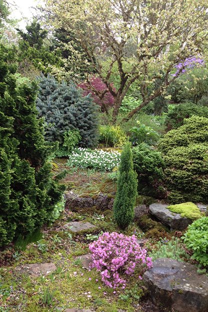 Mature Specimen Plants, Jane Kerr Platt
"Dream Team's" Portland Garden
Hardy Plant Society of Oregon
