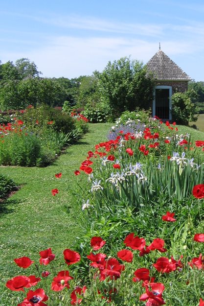 Maryland's Gardens & Inns
Garden Design
Calimesa, CA
