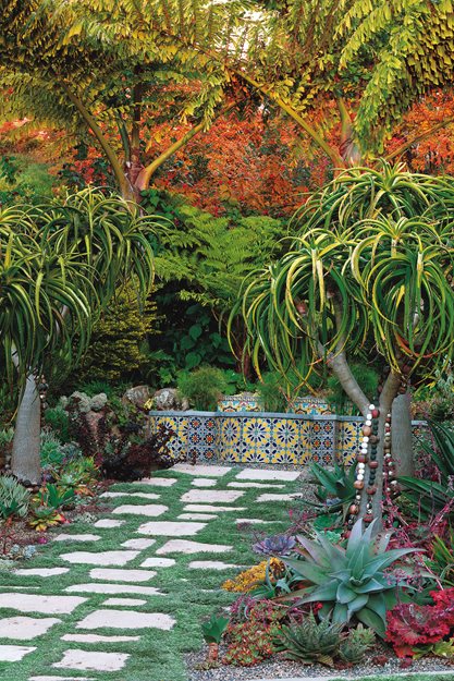 Berkeley Garden, Brandon Tyson
Mediterranean Berkeley Garden, Photo Gallery
Brandon Tyson
Berkeley, CA