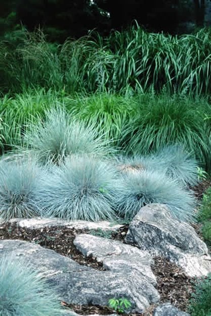 Article
Johnsen Landscapes & Pools
Mount Kisco, NY