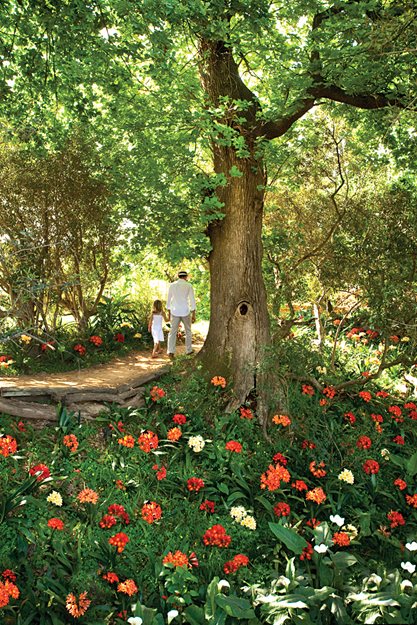 Babylonstoren
Garden Design
Calimesa, CA