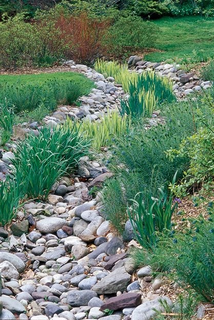 How to Design a Rain Garden