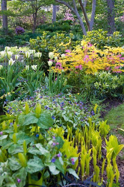 Colorful Ephemerals, Spring Ephemerals
Garden Design
Calimesa, CA