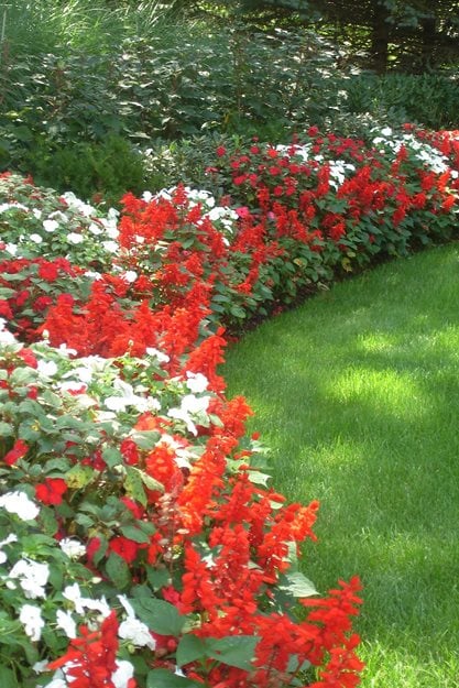 Curved Plant Bed, Red Salvia, White Impatiens
Johnsen Landscapes & Pools
Mount Kisco, NY