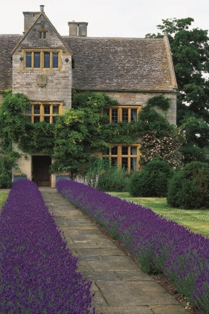British Naturalistic Planting | Garden Design