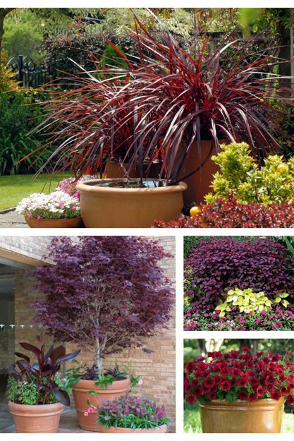 Top Spring Planting Ideas For 2016 Garden Design