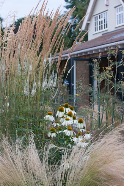 Mexican Feather Grass, Plant Combinations
Garden Design
Calimesa, CA