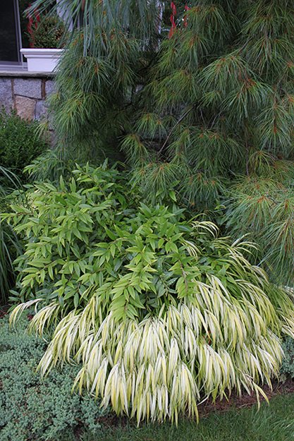 Modern Garden Deer Country
Johnsen Landscapes & Pools
Mount Kisco, NY