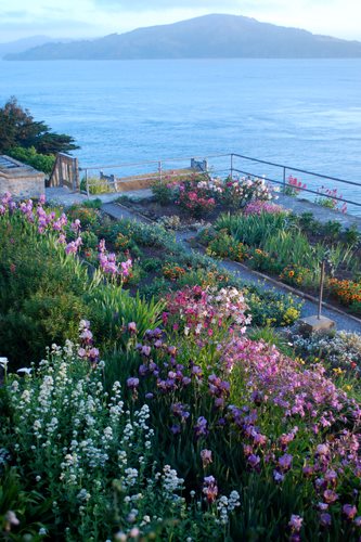 Officers Row Garden In Morning Light
Garden Design
Calimesa, CA