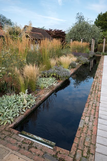 Reflection Pool, Herbaceous Border
Garden Design
Calimesa, CA