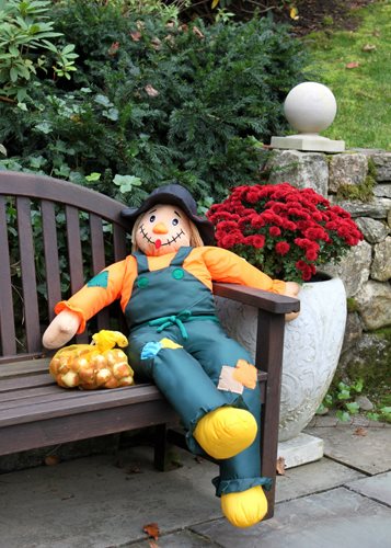Scarecrow On Bench
Garden Design
Calimesa, CA