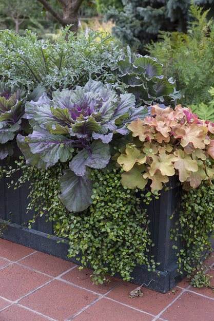 Garden Ideas For Spring top spring planting ideas | garden design Garden Ideas For Spring top spring planting ideas | garden design