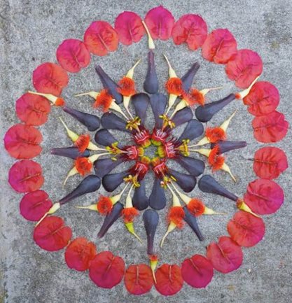 Passionflower
"Dream Team's" Portland Garden
Garden Design
Calimesa, CA