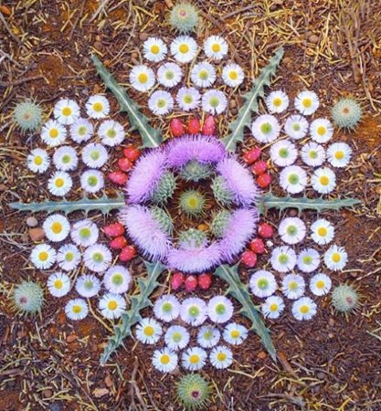 Thistlefleabane-Catus Fruit Sedona
"Dream Team's" Portland Garden
Garden Design
Calimesa, CA