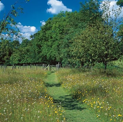 Great Dixter, Meadow Garden
Garden Design
Calimesa, CA