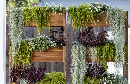 23 Indoor Plant Wall Ideas to Bring Life to Any Room