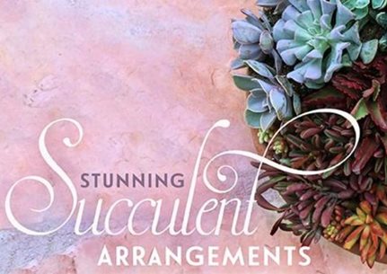 Stunning Succulent Arrangements
Debra Lee Baldwin
San Diego, CA
