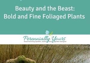 Bold And Fine Foliage Course
Perennially Yours
, PA