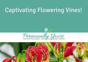 Flowering Vines Course
Perennially Yours
, PA