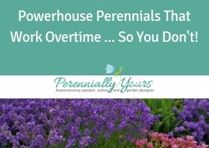 Powerhouse Perennials Course
Perennially Yours
, PA