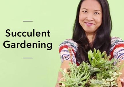 Succulent Gardening Course
Garden Design
Calimesa, CA