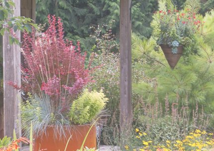 Container Planting
Le-jardinet
Seattle, WA