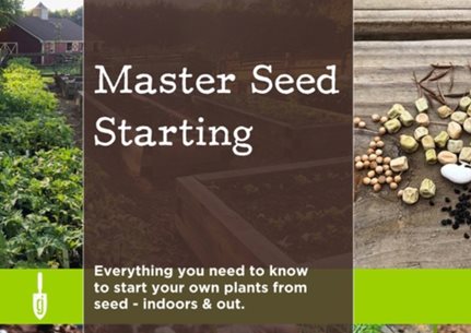 Master Seed Starting Course
Garden Design
Calimesa, CA