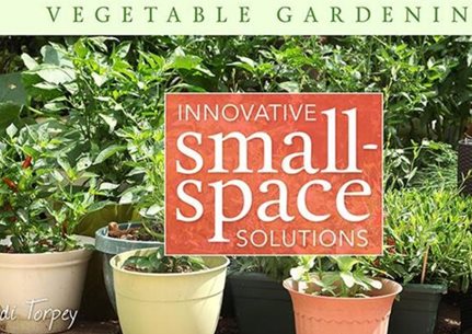 Small Space Vegetable Gardening
Garden Design
Calimesa, CA