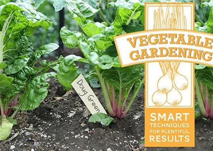 Vegetable Gardening Techniques Course
Garden Design
Calimesa, CA