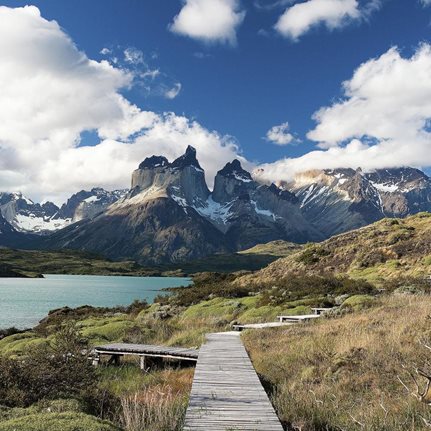 Chile: Gardens, Wine, Forests, & Glaciers
Garden Design
Calimesa, CA