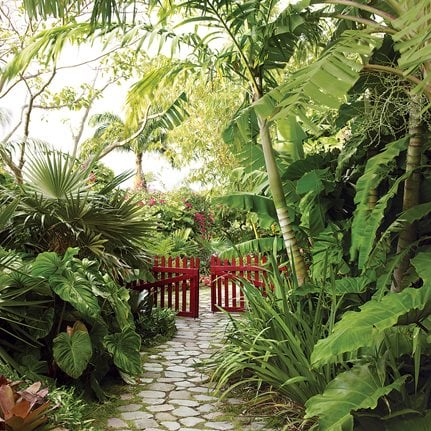 Helen and Brice Marden's Caribbean Hotel, Slide Show
Garden Design
Calimesa, CA