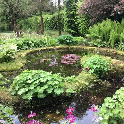 Northern Ireland, Irish Garden
Garden Design
Calimesa, CA