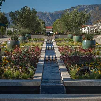 Drought-Tolerant, Entryway
The Huntington Library, Art Collections, and Botanical Gardens
,