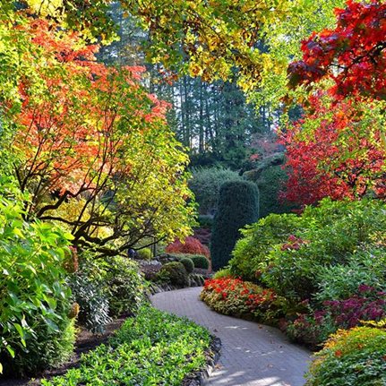 The Butchart Gardens
Brentwood Bay, BC